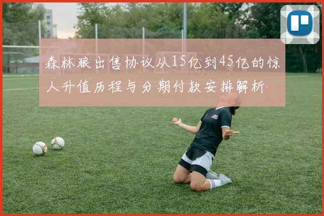 森林狼出售协议从15亿到45亿的惊人升值历程与分期付款安排解析